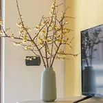 Borgo Fantino - Stone & Wood - Grandmaison Apartmán Limone Piemonte