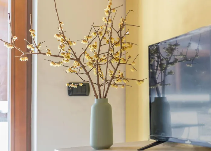 Borgo Fantino - Stone & Wood - Grandmaison Appartement Limone Piemonte